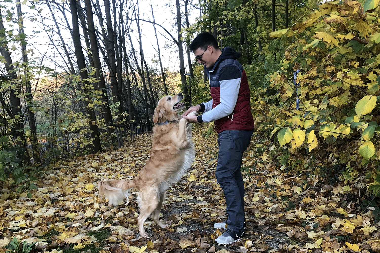 Alexander mit Hund im Wald bei Göpfritz an der Wild