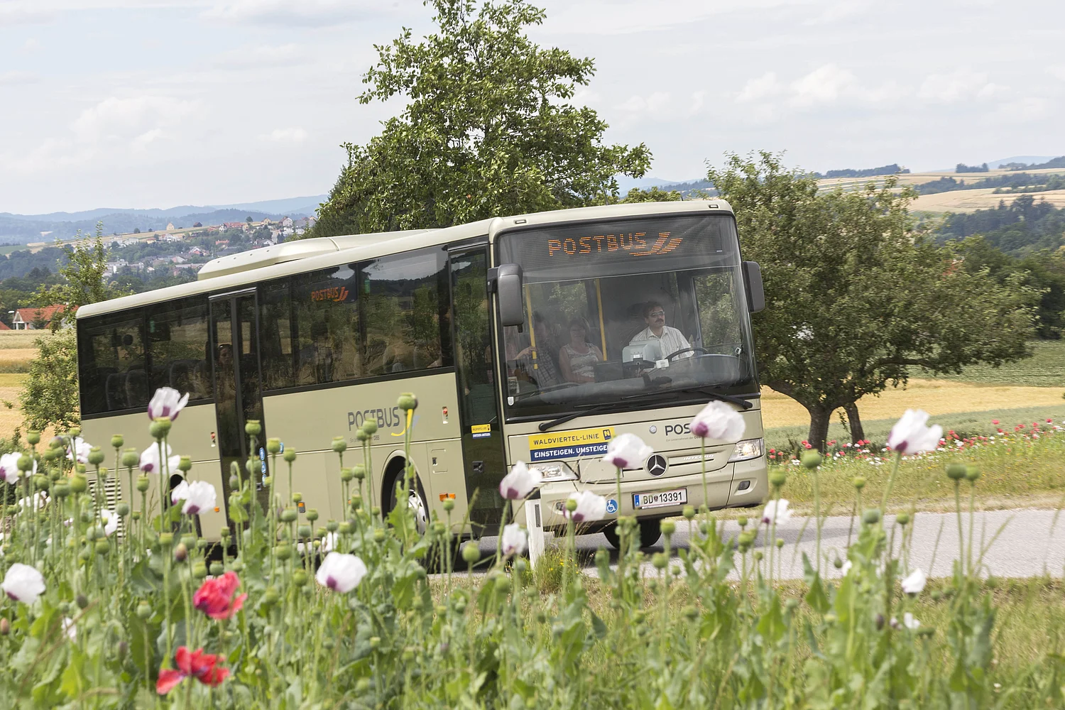 Waldviertel Linie Busverbindungen in die Bezirksstädte