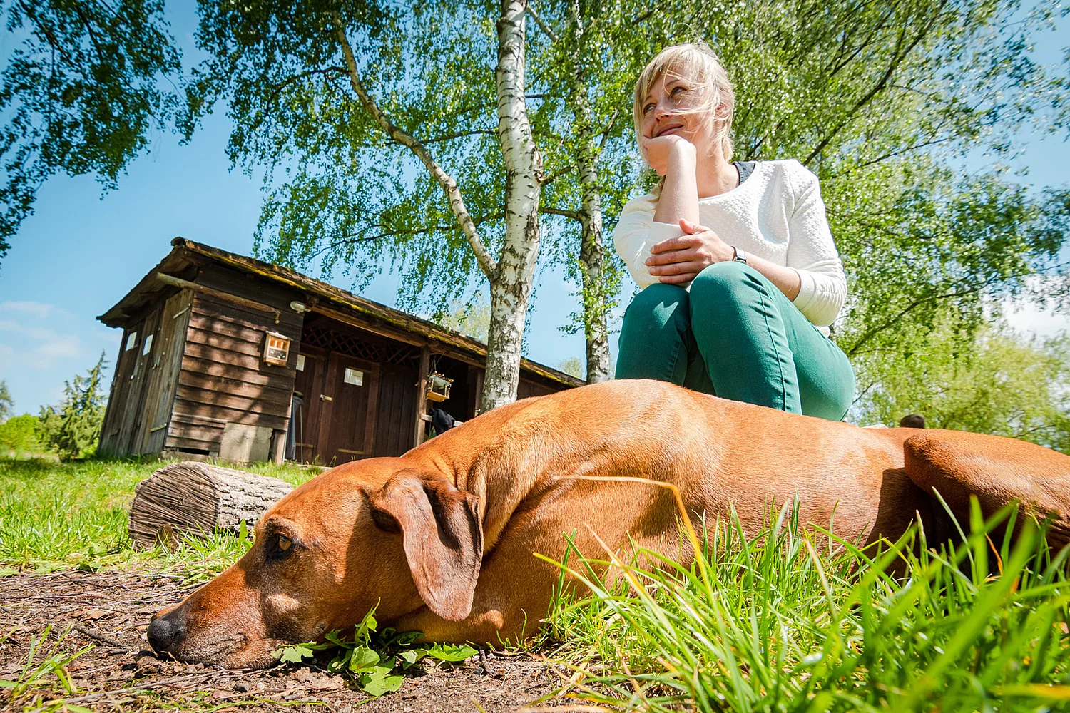 Frau mit Hund in der Natur im Waldviertel