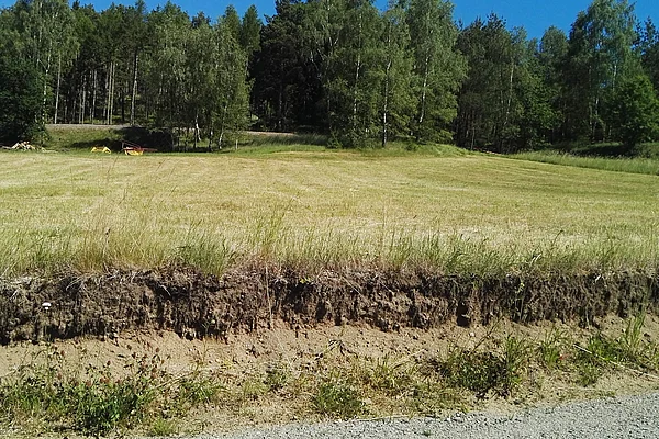 Auch in Sankt Martin gibt es aktuell gut erschlossene Baugründe.
