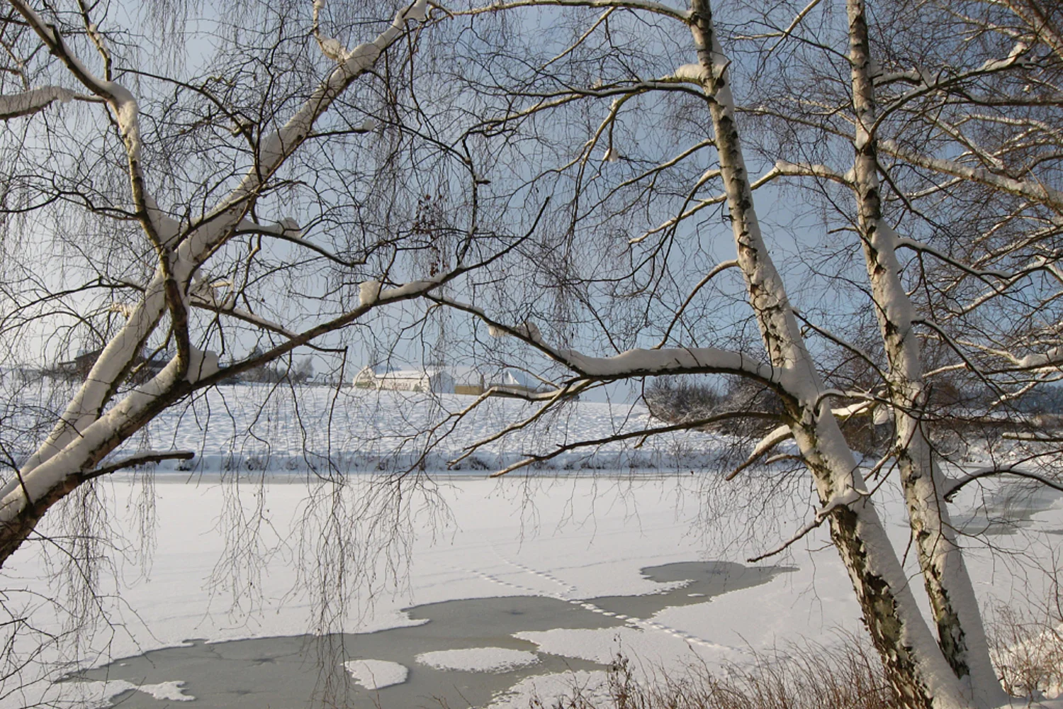 Gefrorener See in der Freizeitgemeinde Langau im Waldviertel