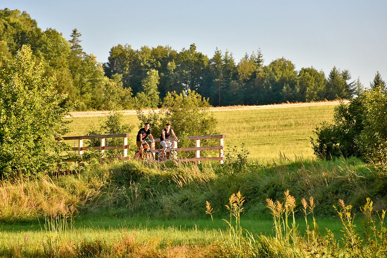 Top Radroute Thayarunde Radweg © Matthias Ledwinka